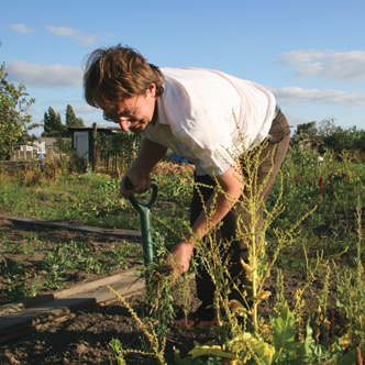 Gardening at Ponders End